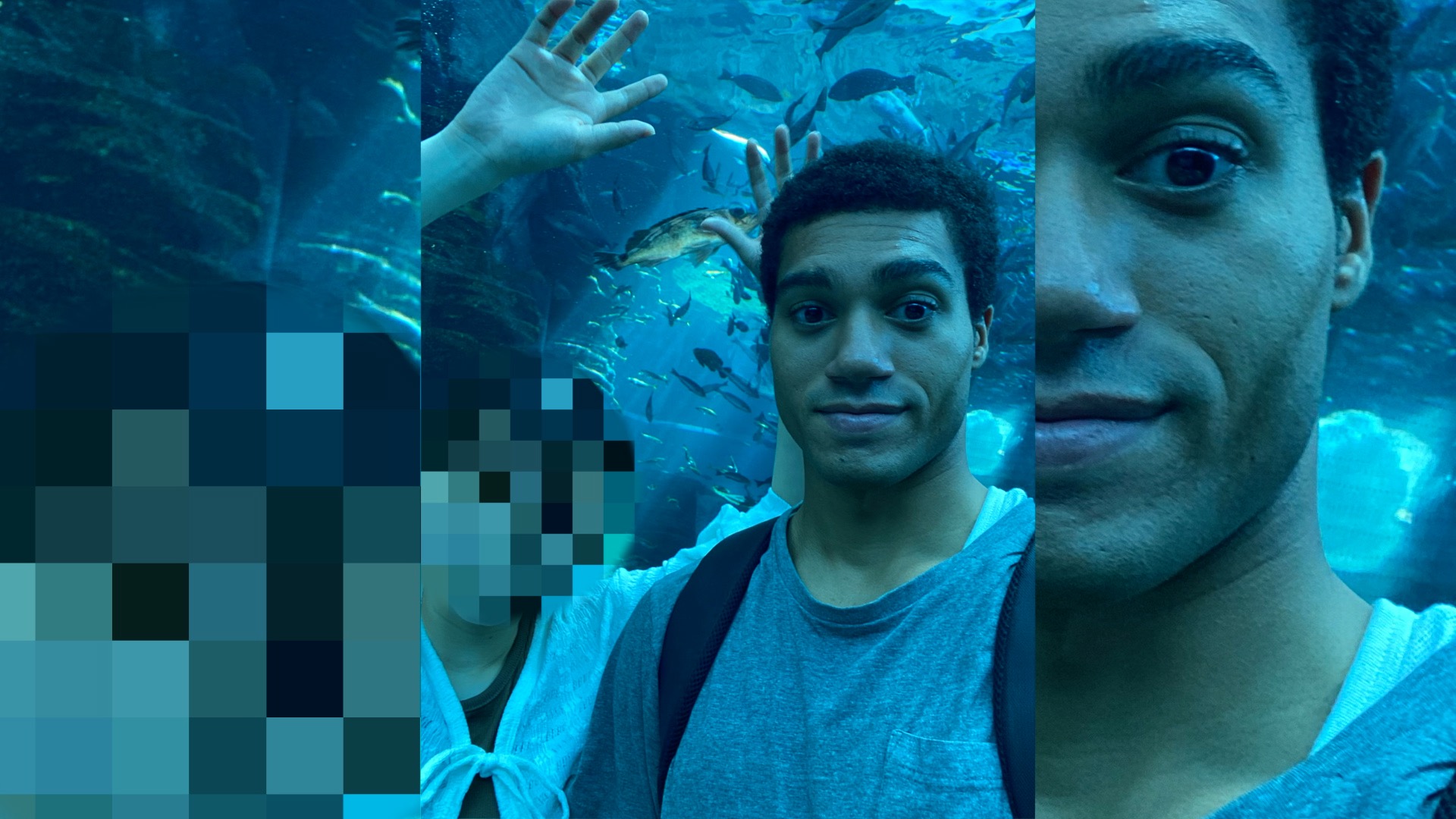 Exploring Niigata: Aquarium Adventures and Sea of Japan Serenity | Exclusive Patreon Experience