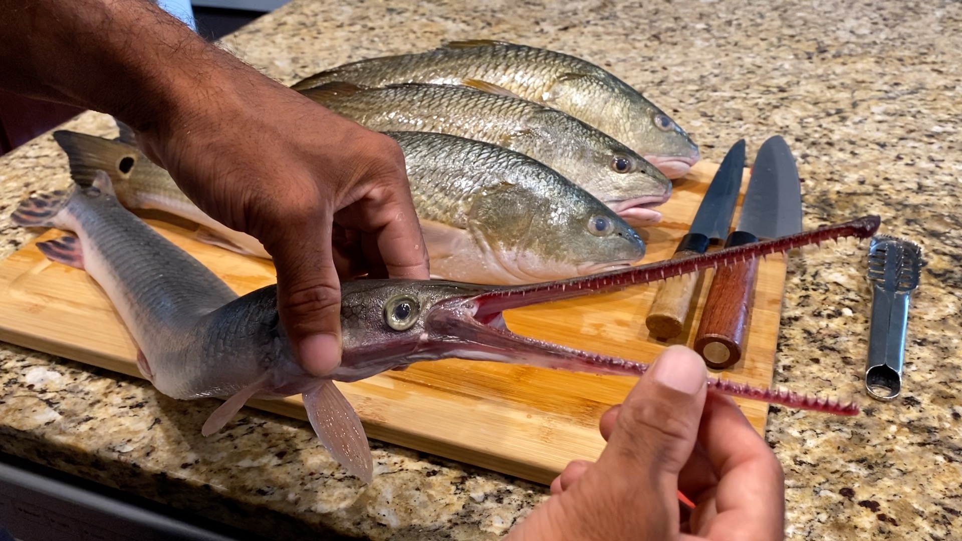 From Trash To Treasure: Gar And Redfish Catch and Cook In Savannah GA