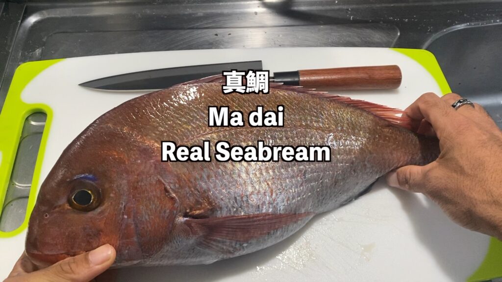 Sea Bream AKA 鯛